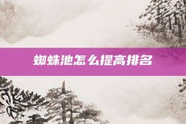 蜘蛛池怎么提高排名