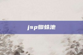 jsp蜘蛛池