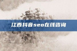 江西抖音seo在线咨询