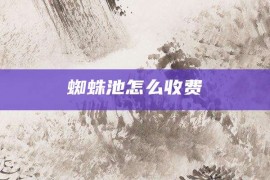 蜘蛛池怎么收费