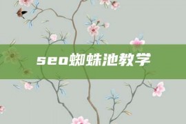 seo蜘蛛池教学