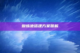 蜘蛛池搭建方案图解