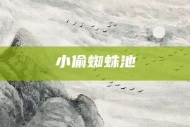 小偷蜘蛛池