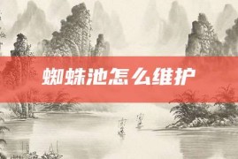 蜘蛛池怎么维护