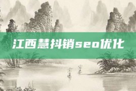 江西慧抖销seo优化