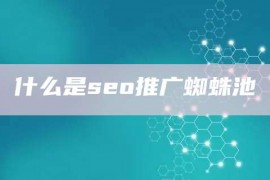 什么是seo推广蜘蛛池