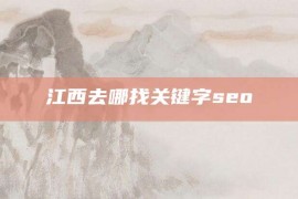 江西去哪找关键字seo