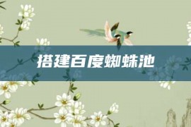 搭建百度蜘蛛池