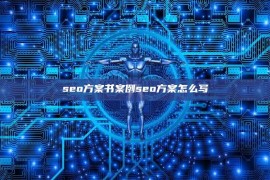 seo方案书案例seo方案怎么写