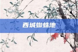 西城蜘蛛池