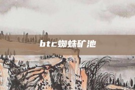 btc蜘蛛矿池