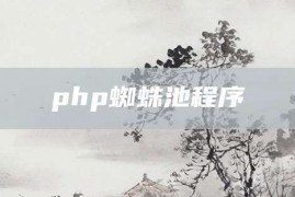 php蜘蛛池程序