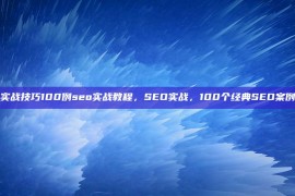 seo实战技巧100例seo实战教程，SEO实战，100个经典SEO案例分析