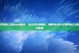 SEO站长助手站长之家seo查找，SEO实战指南，如何在站长之家网站上进行有效的SEO查询