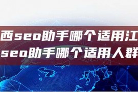 江西seo助手哪个适用江西seo助手哪个适用人群