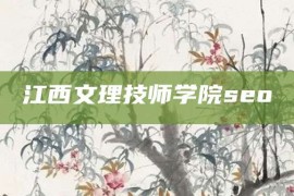 江西文理技师学院seo