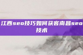 江西seo技巧如何获客南昌seo技术