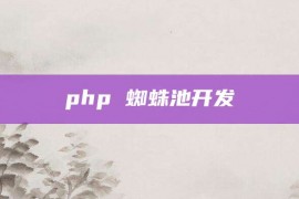 php 蜘蛛池开发