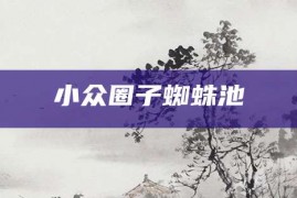 小众圈子蜘蛛池