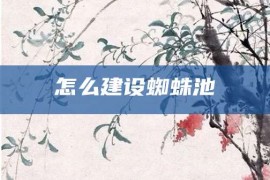 怎么建设蜘蛛池