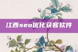 江西seo优化获客软件