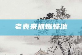 老表来抓蜘蛛池