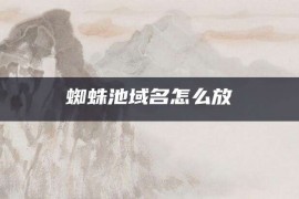 蜘蛛池域名怎么放