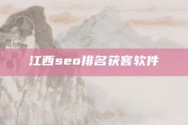 江西seo排名获客软件