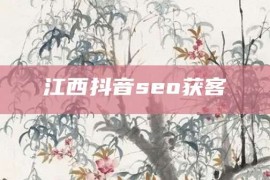 江西抖音seo获客