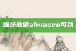 蜘蛛池徽ahuaseo可以