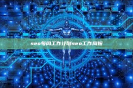 seo每周工作计划seo工作周报