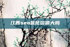 江西seo优化价值大吗