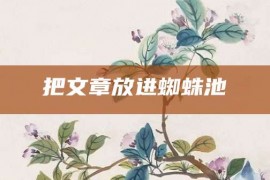 把文章放进蜘蛛池