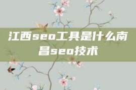 江西seo工具是什么南昌seo技术