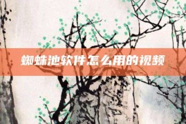 蜘蛛池软件怎么用的视频