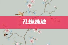 孔蜘蛛池