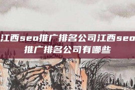 江西seo推广排名公司江西seo推广排名公司有哪些