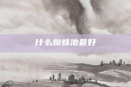 什么蜘蛛池最好