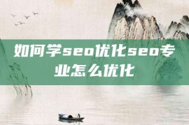 如何学seo优化seo专业怎么优化