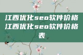 江西优化seo软件价格江西优化seo软件价格表