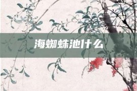 海蜘蛛池什么