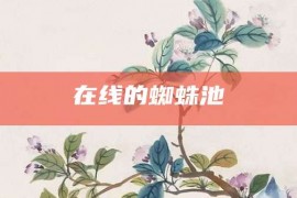 在线的蜘蛛池