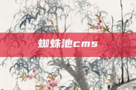 蜘蛛池cms