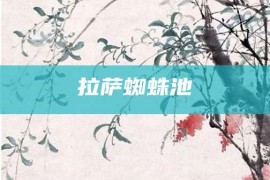 拉萨蜘蛛池