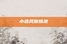 小迅风蜘蛛池