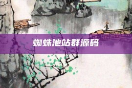 蜘蛛池站群源码