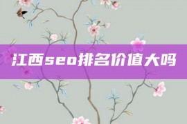 江西seo排名价值大吗