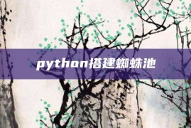 python搭建蜘蛛池