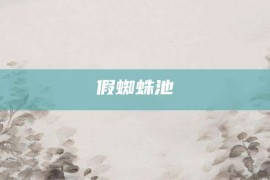 假蜘蛛池