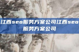 江西seo服务方案公司江西seo服务方案公司